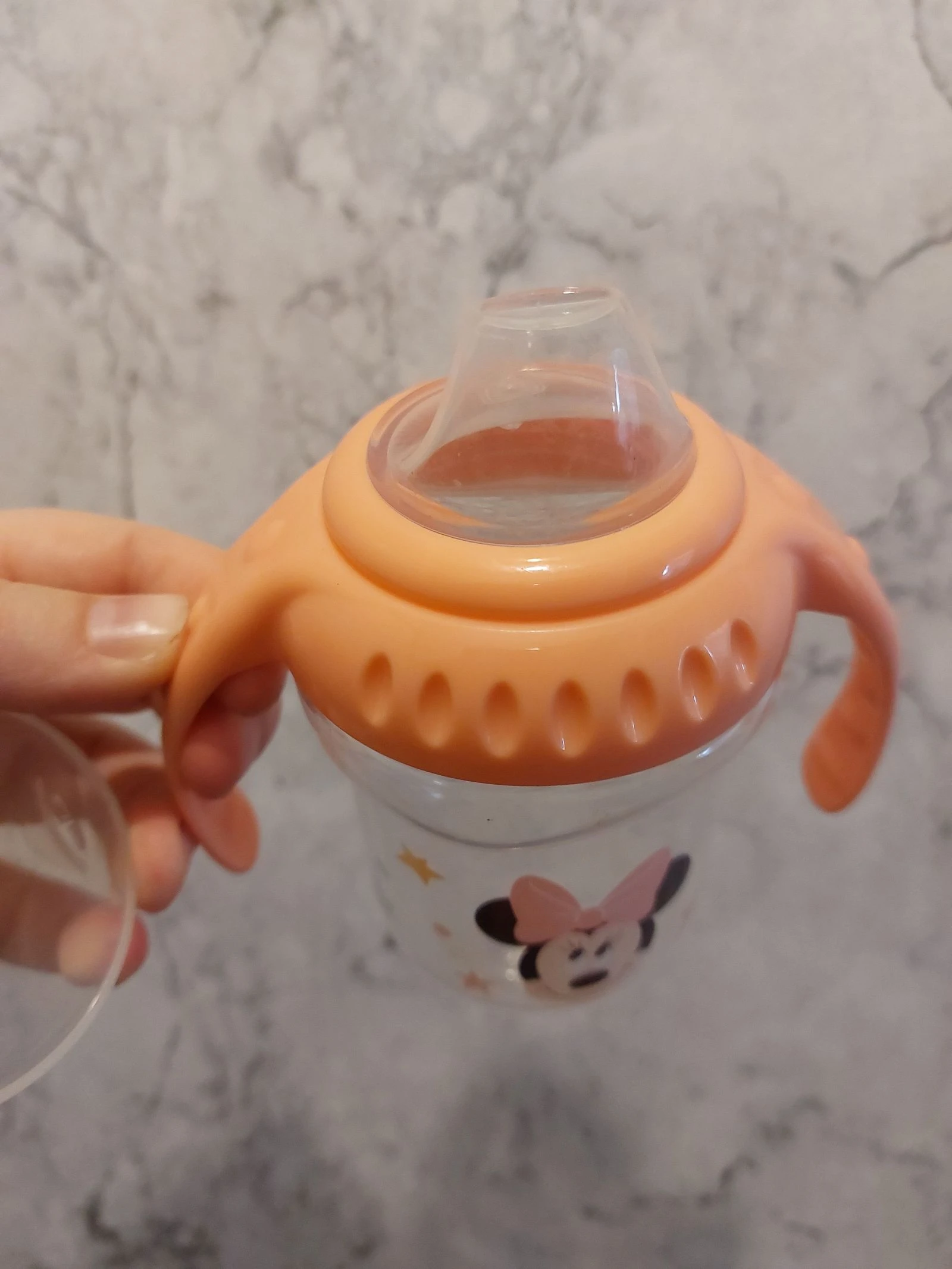 Gourde aprendizaje – photo 7